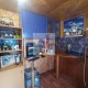 продажа  дача 34.4 м2 / СНТ Мичуринец тер, 103