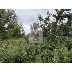 продажа  участок 6.5 сот. / Хрипань, Слободская ул.,