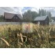продажа  дом 53.7 м2 / Заворово с., Журавушка тер. СНТ, 